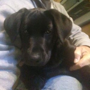 Meet your Posher, Tommy